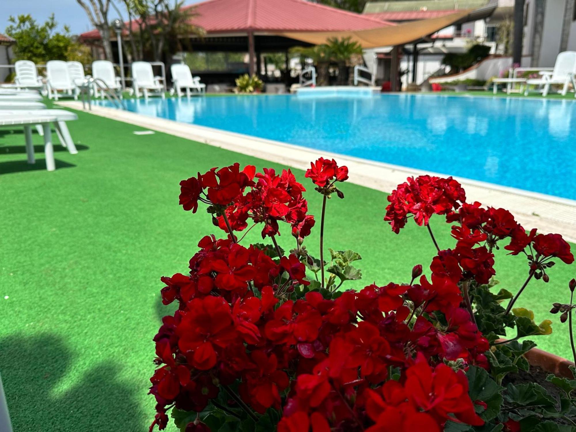 Hotel B&B Marina Капаччио-Паэстум Экстерьер фото