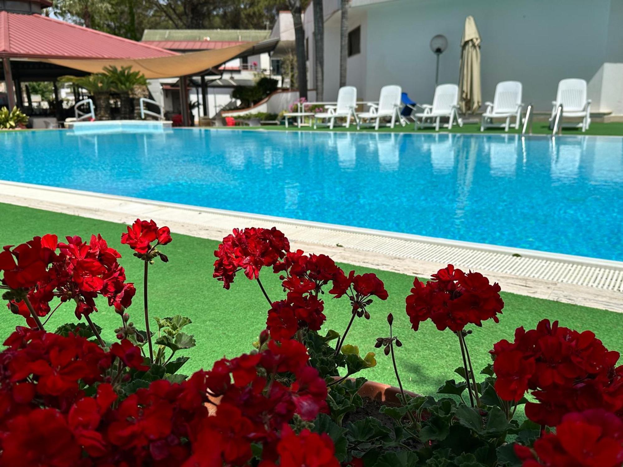 Hotel B&B Marina Капаччио-Паэстум Экстерьер фото